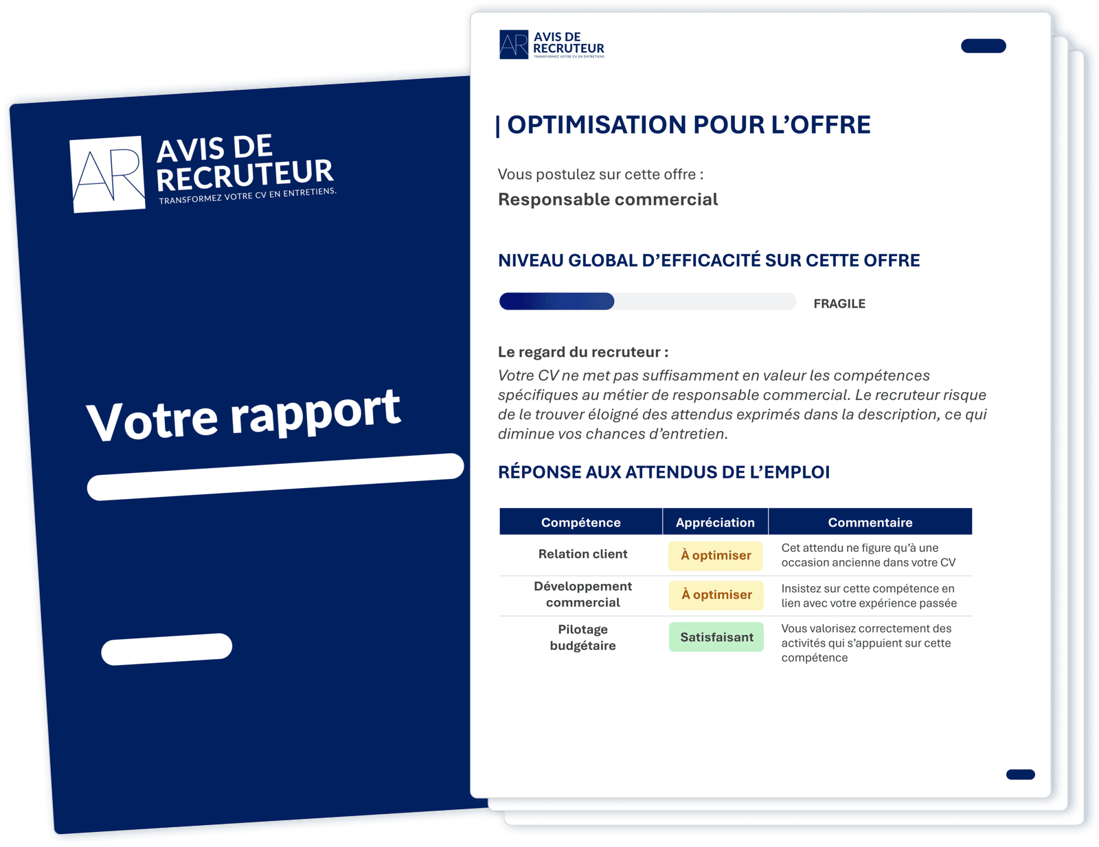 illustration optimisation extrait du rapport d'analyse du cv avec niveau d'efficacité sur l'emploi et réponse aux attendus